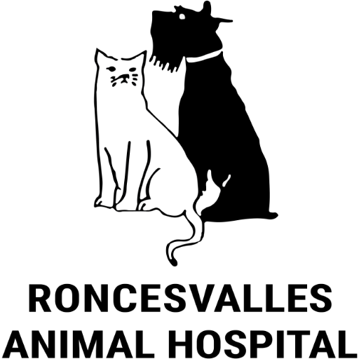 Roncesvalles Animal Hospital