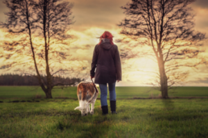Pet owner walking dog through field in Ontario