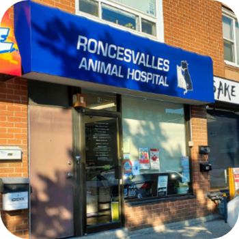 Roncesvalles Animal Hospital front view